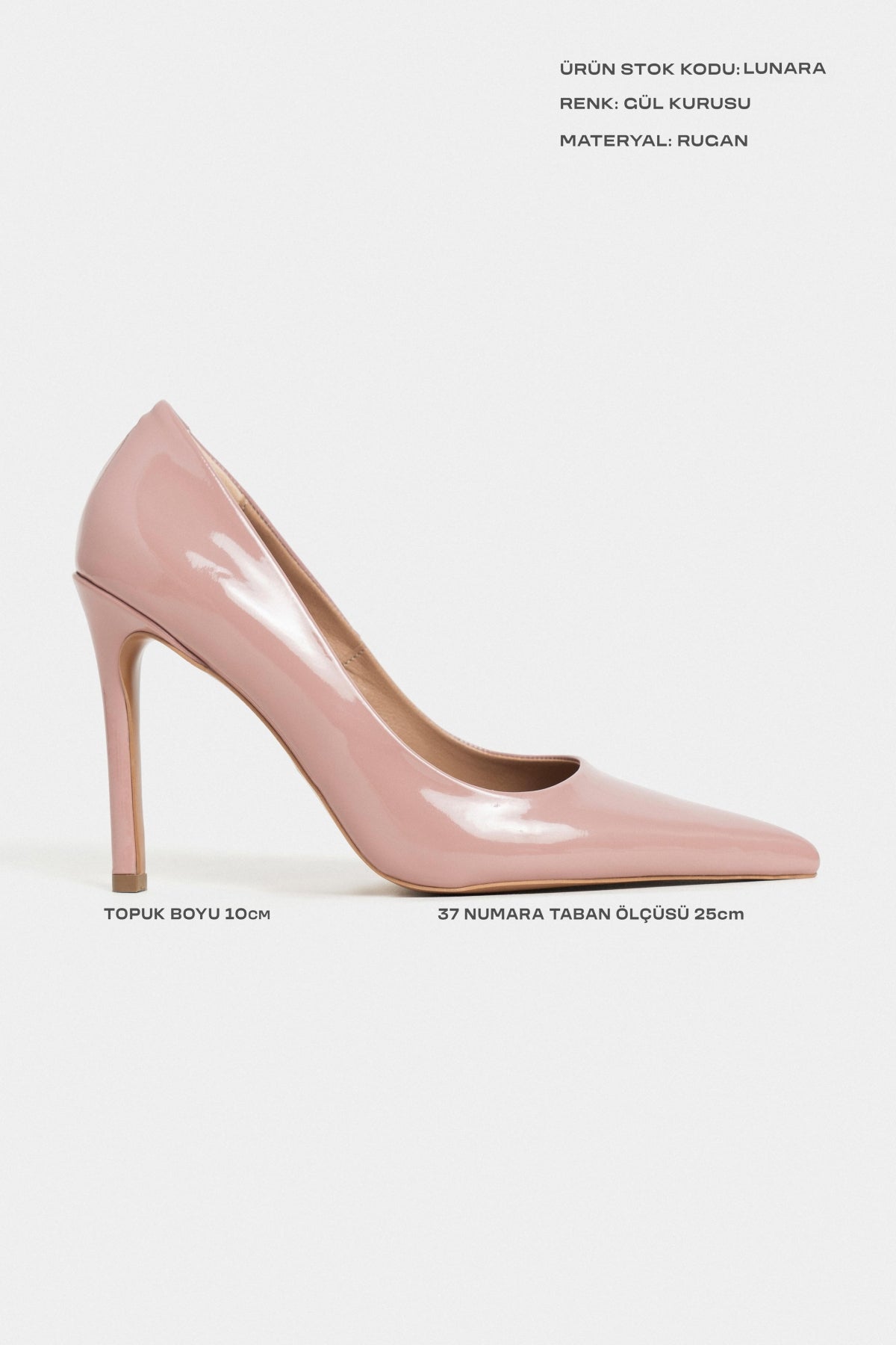 Lunara Gül Kurusu Rugan Sivri Burun Kadın Stiletto